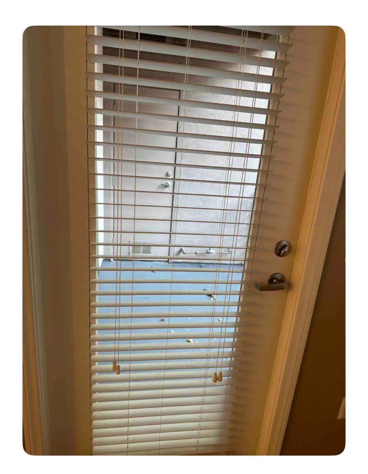 Entire Apartment